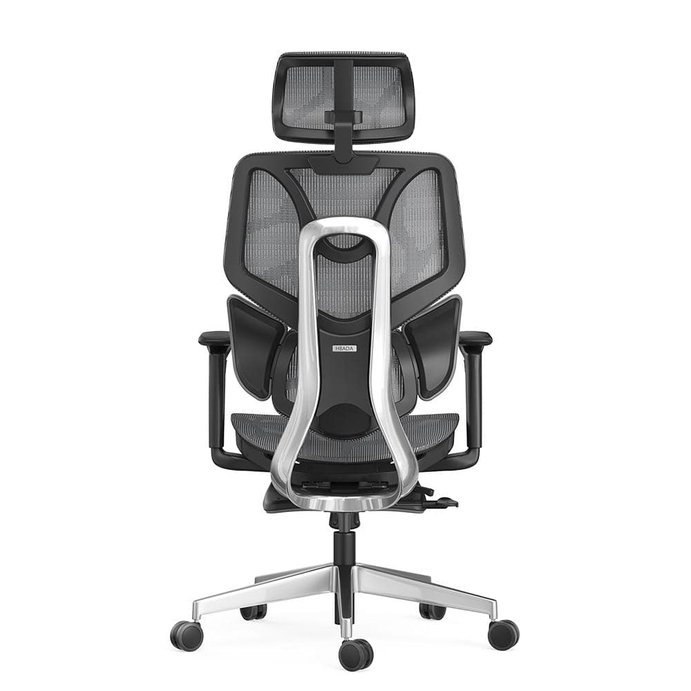 HBADA E3 Ergonomic Chair Pro